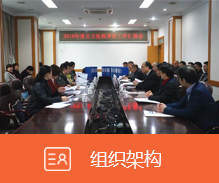 组织架构
