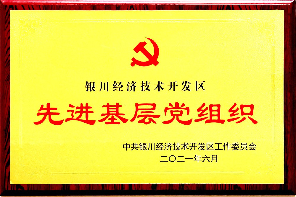 2021年经开区 两优一先荣誉